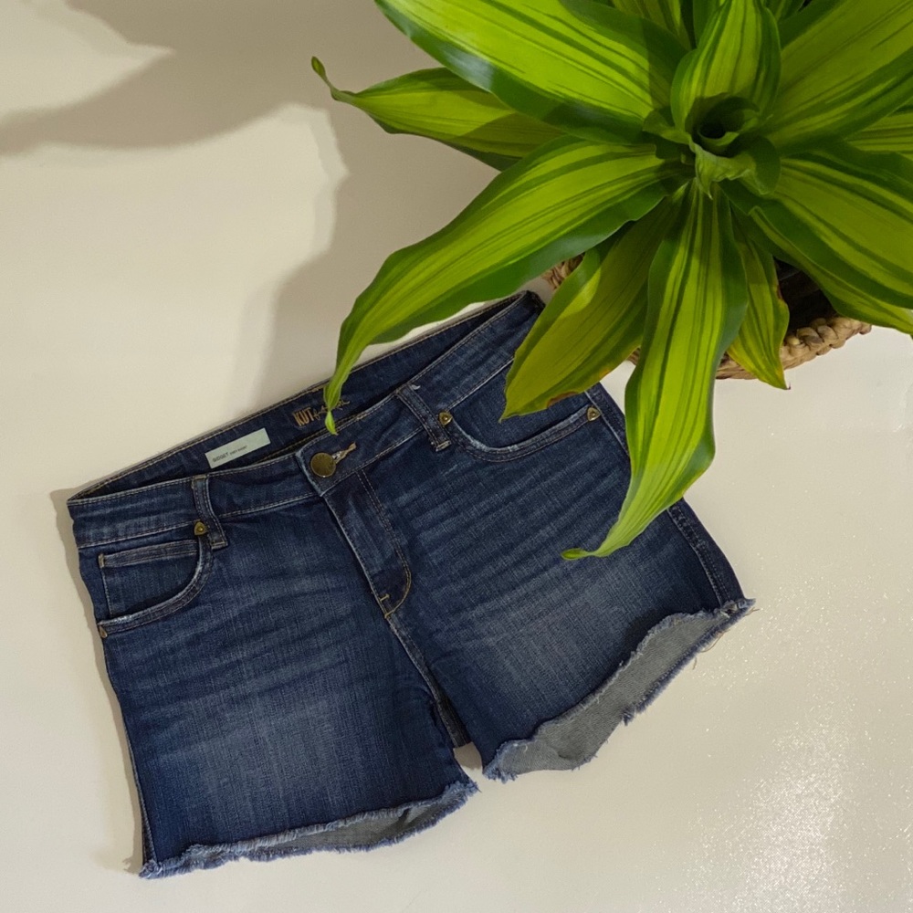 KUT from the Kloth Fray Shorts